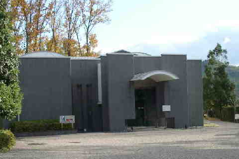 Ÿ��������